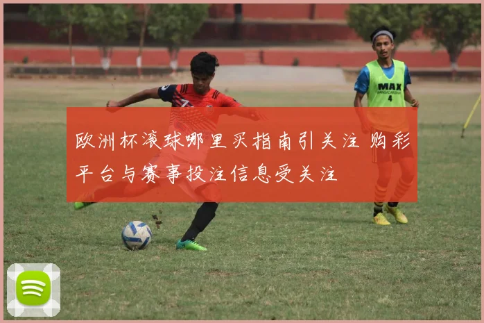 欧洲杯滚球哪里买指南引关注 购彩平台与赛事投注信息受关注
