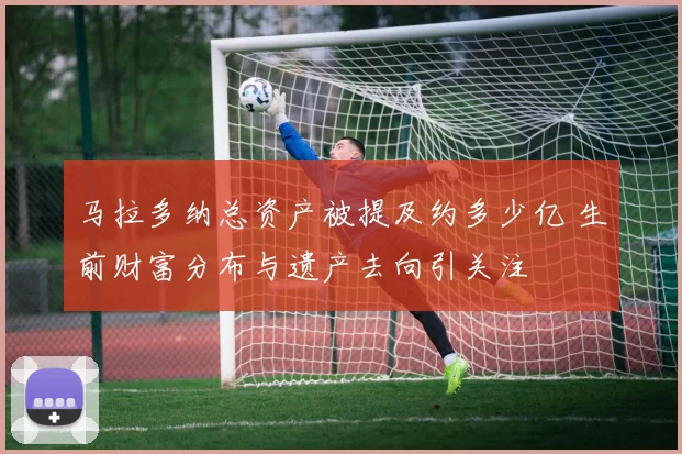 马拉多纳总资产被提及约多少亿 生前财富分布与遗产去向引关注