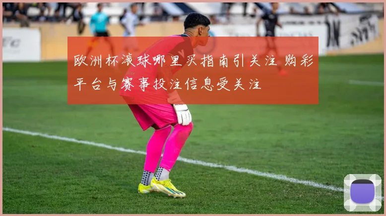 欧洲杯滚球哪里买指南引关注 购彩平台与赛事投注信息受关注
