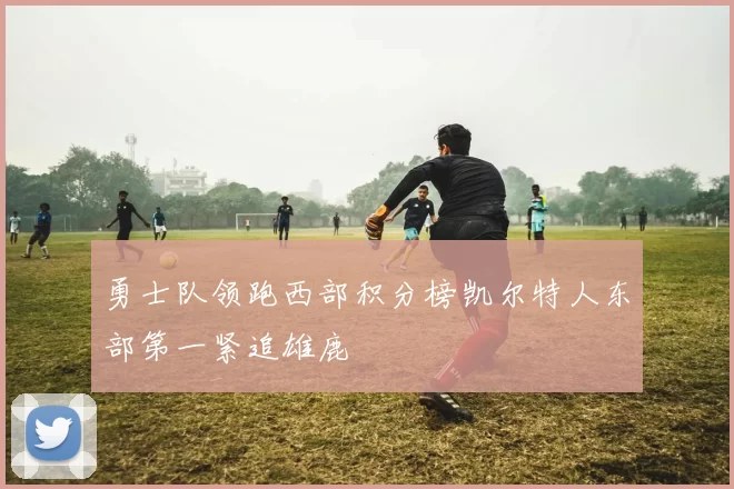 勇士队领跑西部积分榜凯尔特人东部第一紧追雄鹿